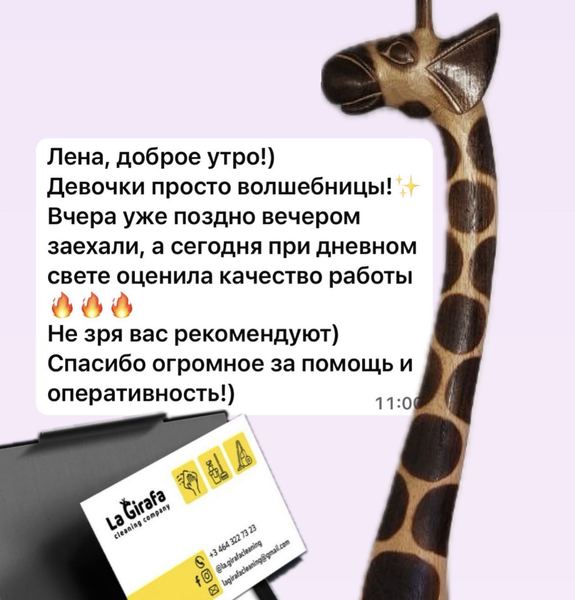 LaGirafa cleaning company