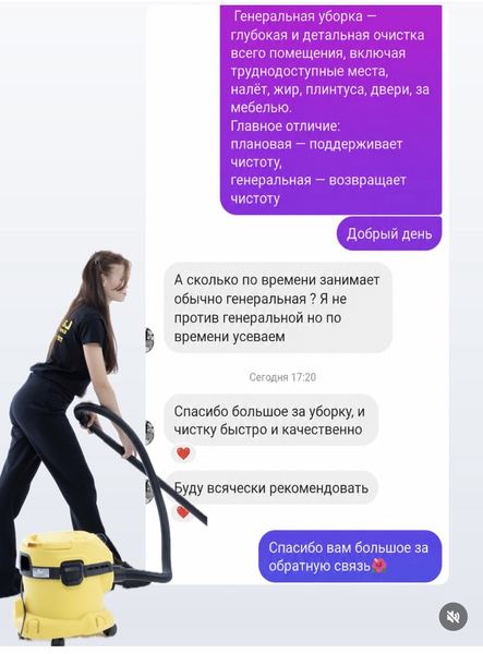 LaGirafa cleaning company